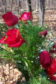 sharon-valentines-flowers6.jpg