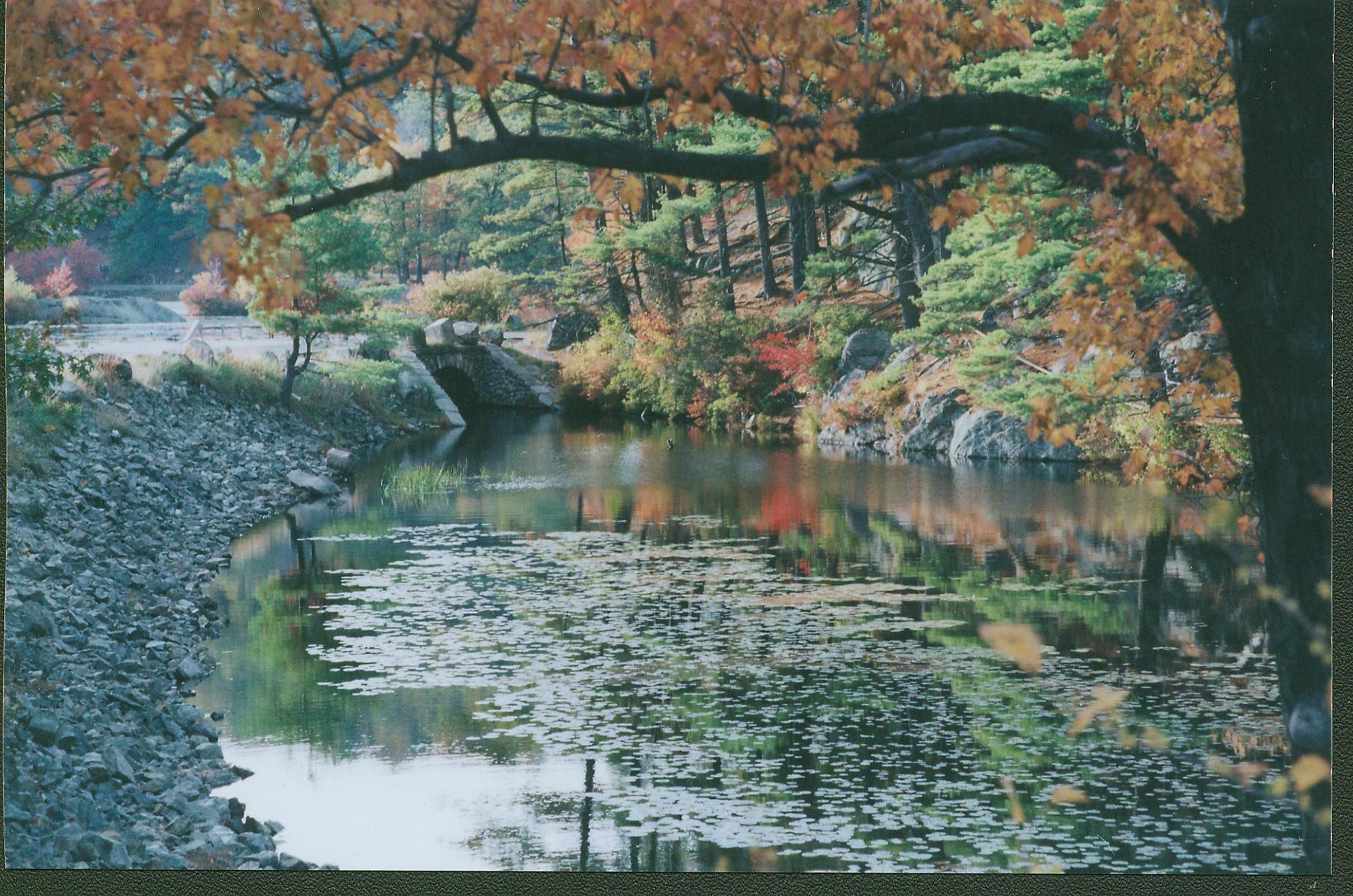 fall-colors-300dpi.jpg